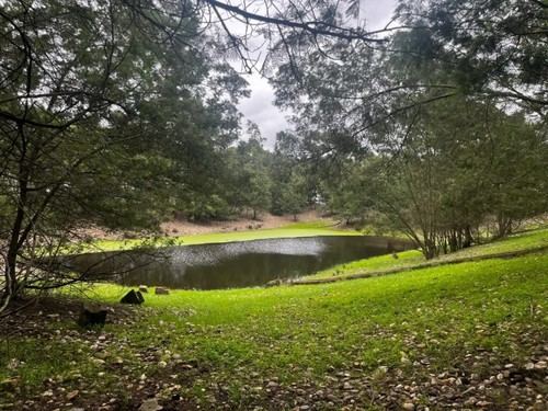 MITECO financia 9 proyectos por 11,5 millones para mejorar el entorno de Doñana