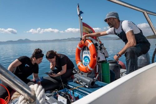 MITECO recibe 485 propuestas para impulsar el empleo verde y la sostenibilidad marina