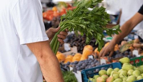 Comisión Europea facilita el uso indefinido de plaguicidas tóxicos en alimentos