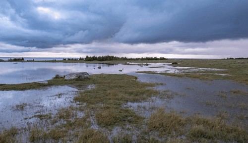 Urgente llamado para priorizar la restauración de humedales en el nuevo plan nacional