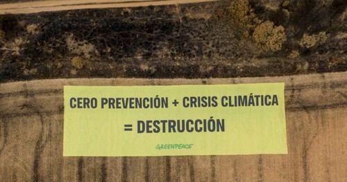Greenpeace exige acciones urgentes para prevenir incendios forestales en 2025
