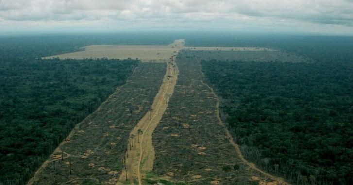 COP30 en la Amazonía: Greenpeace exige acción urgente contra la deforestación y justicia climática