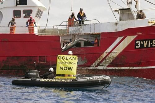 Greenpeace denuncia pesca ilegal de tiburones por un barco español en alta mar