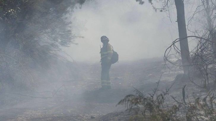 Incendios devastan más de 135.000 hectáreas ante la inacción climática