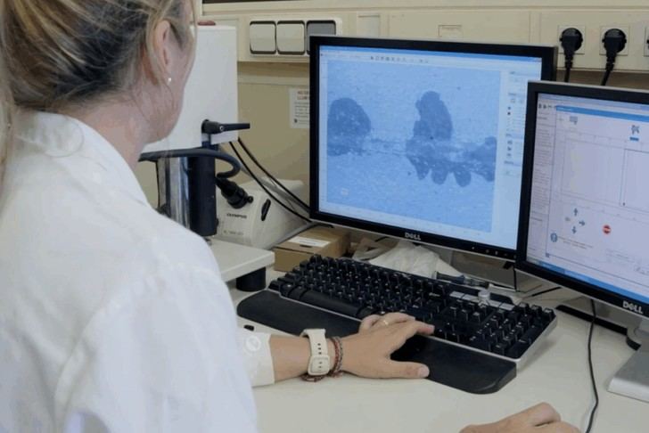 ITC -REDIT- lidera proyecto europeo para mejorar la calidad del aire en puertos