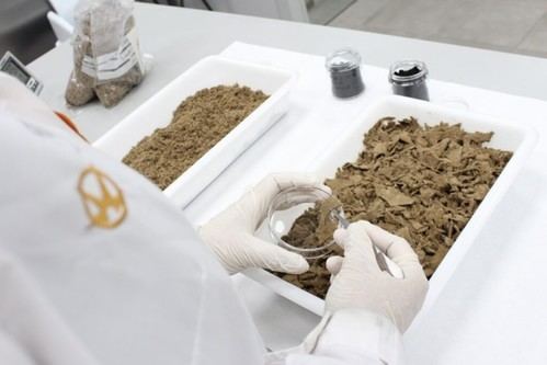 Iniciativa RECUBIC transforma residuos de cuero en materiales sostenibles y energía
