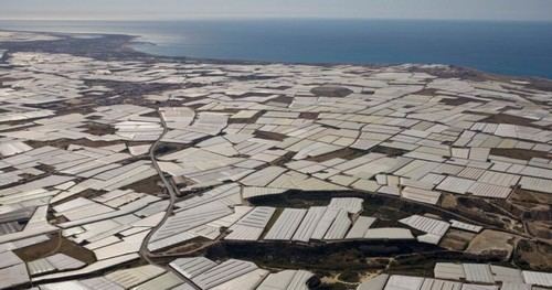 La agroindustria española exporta el doble de agua que consumen los hogares del país