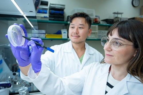 Universidades y hospitales intensifican su colaboración en crisis sanitaria