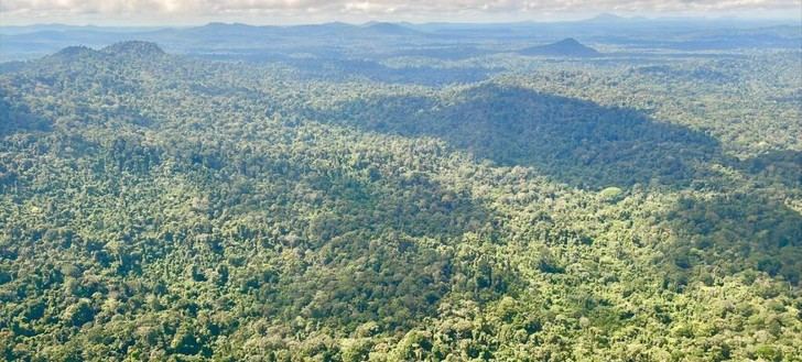 La ONU urge a triplicar la inversión para salvar los bosques tropicales en peligro