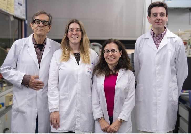 Investigadores de la Universitat e INCLIVA crean nuevos compuestos para tratar enfermedades metabólicas