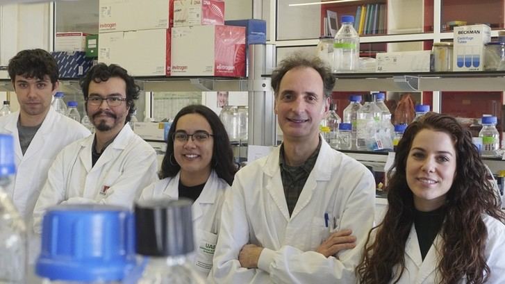 Descubren cómo dos proteínas del Alzheimer afectan de forma distinta a la memoria y emociones