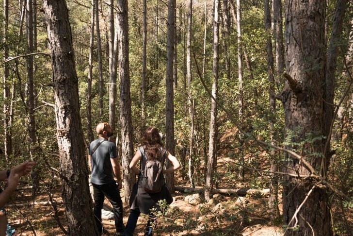 Aumentan un 49% los acuerdos de custodia del territorio en España, alcanzando 4.632