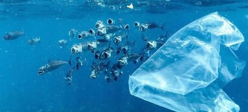 Negocian en Ginebra un tratado para frenar el aumento de residuos plásticos hacia 2060