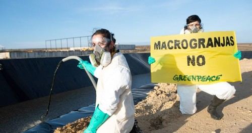 Juicio contra macrogranja por contaminación ambiental en Navarra