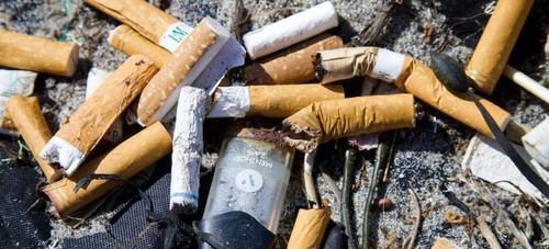 Avances significativos en la lucha contra el tabaco y su impacto ecológico