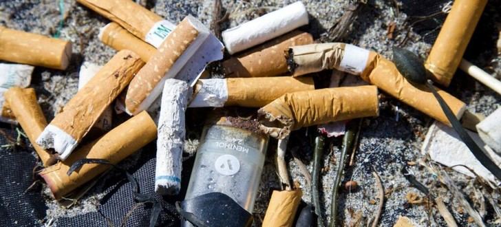 Avances significativos en la lucha contra el tabaco y su impacto ecológico