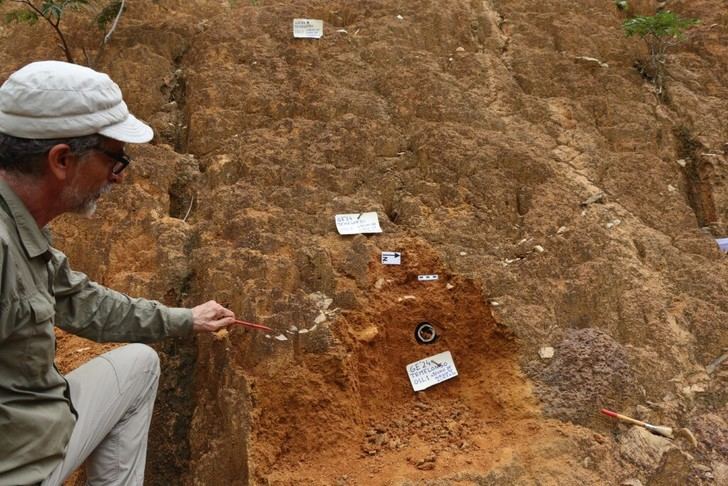 Descubren evidencia de humanos en Guinea Ecuatorial hace 45.000 años