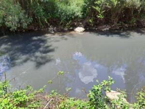 Contaminación continua en el río Ubrique por vertidos de la depuradora de la localidad