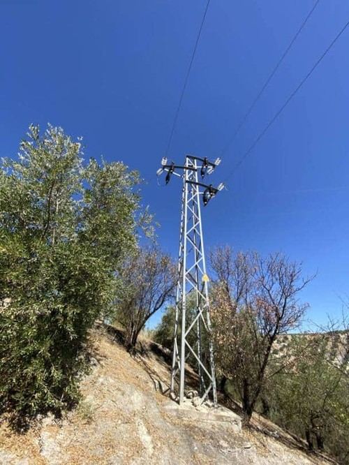 Aumenta la mortandad de aves por electrocución en Baena
