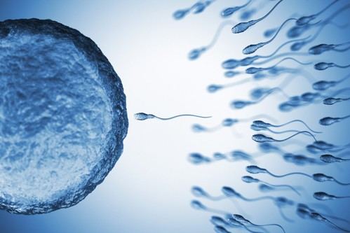 Estudio revela químicos en semen que podrían comprometer la fertilidad masculina