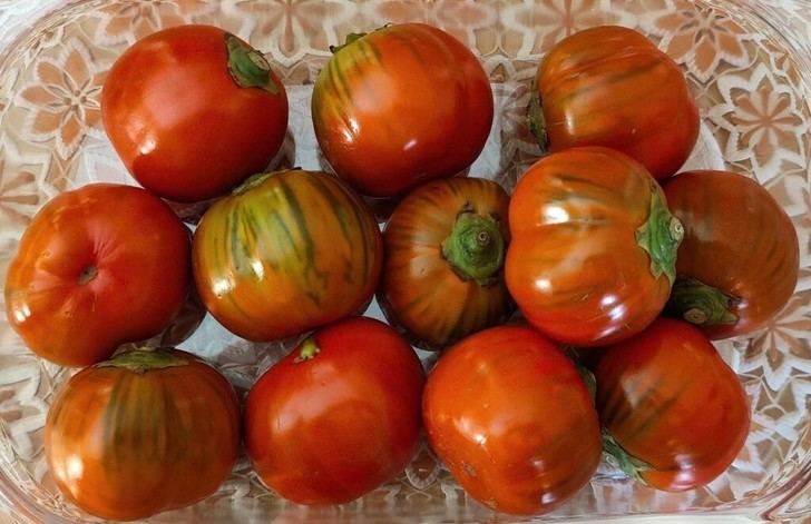 Nuevo método biotecnológico silencia genes en plantas para optimizar cultivos