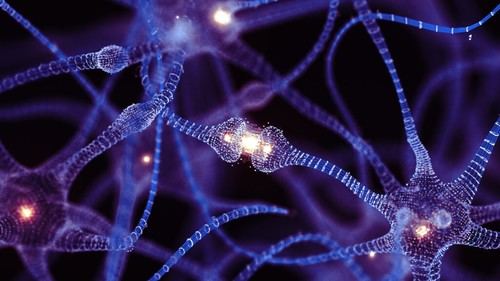 Nuevo modelo de neurona mejora el diseño de redes neuronales artificiales