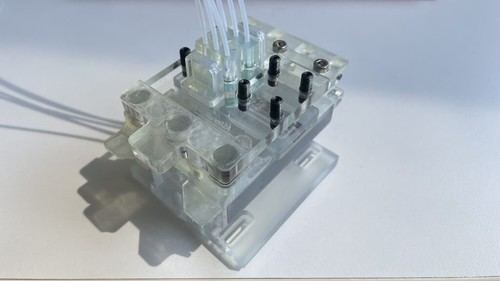 Eroica Dx desarrollará un dispositivo rápido para diagnosticar infecciones bacterianas