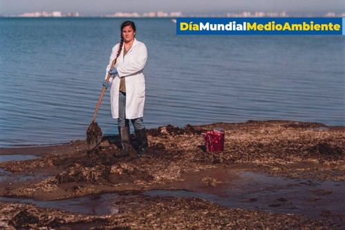 Ingeniera de la UPCT crea un sistema sostenible para proteger el Mar Menor