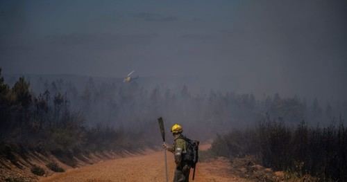 Inversión de 1.000 millones en prevención de incendios podría ahorrar 99.000 millones en extinción