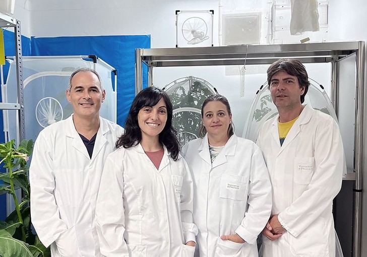Nueva spin-off de la UV creará sistemas para detectar patógenos en cría de insectos