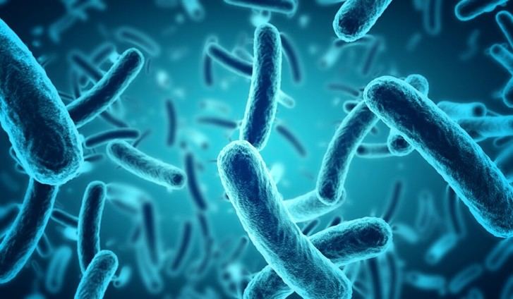 Nueva técnica óptica estudia cómo las bacterias responden a antibióticos