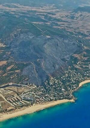 Incendios devastan Tarifa tras años de abandono en la gestión forestal