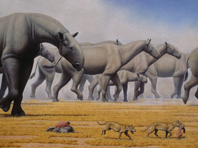 Los cambios climáticos marcan el ritmo de la evolución de los mamíferos