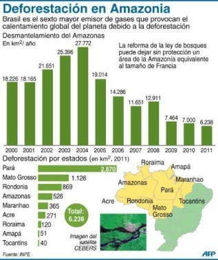 El pulmón del planeta apuñalado