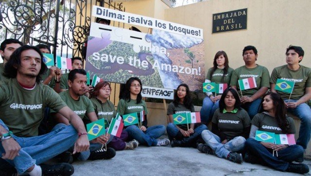 El pulmón del planeta apuñalado