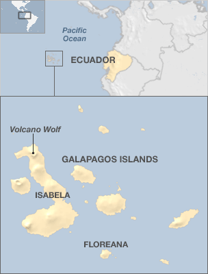 Una tortuga gigante “resucita” en Galápagos
